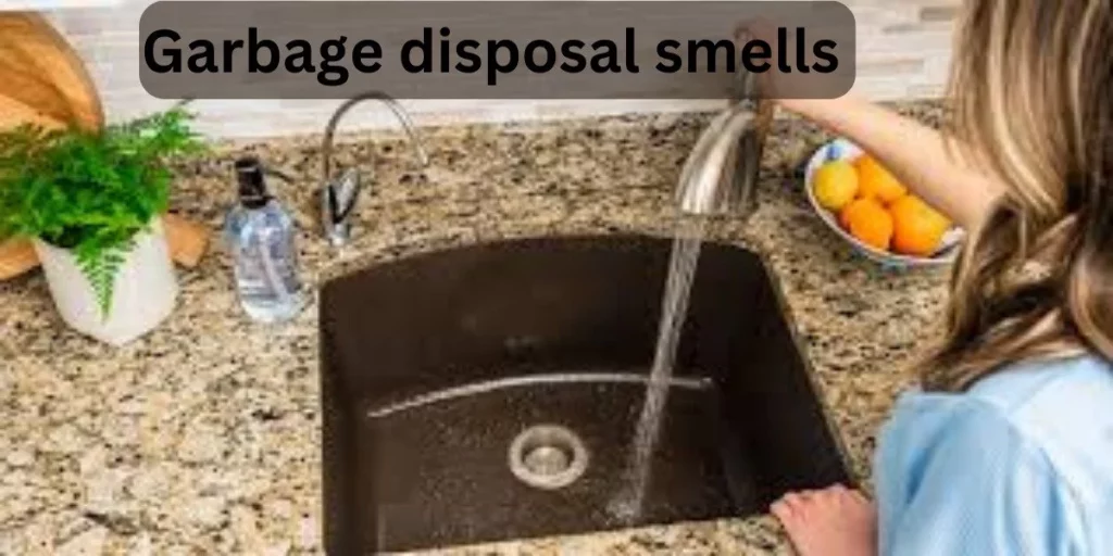 Garbage disposal smells
