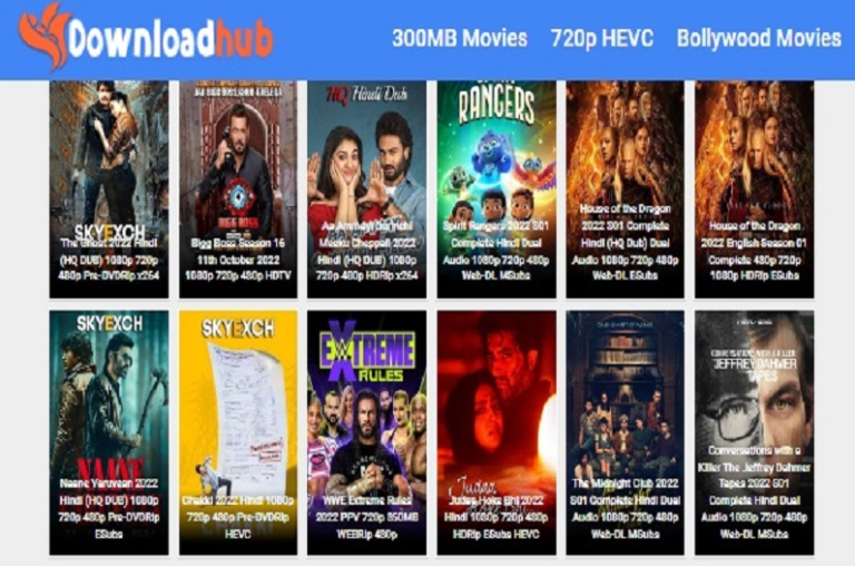 Exploring Downloadhub4u A Cinematic Odyssey from 4K to 300mb Movies